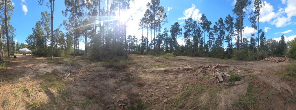 700 Pr 8160 Lovelady Tx 75851 Lovelady, TX 75851 - Photo 6 of 35 a view of a yard with trees