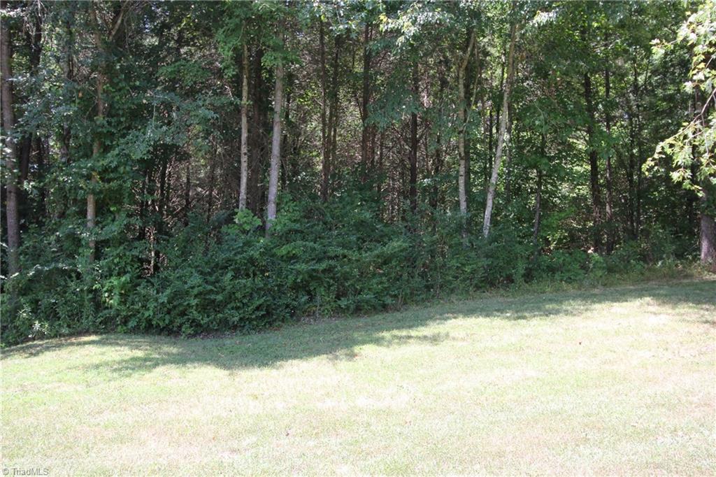 1164 County Home Road Mocksville, NC 27028 - Photo 16 of 18 Enjoy the privacy and quiet.