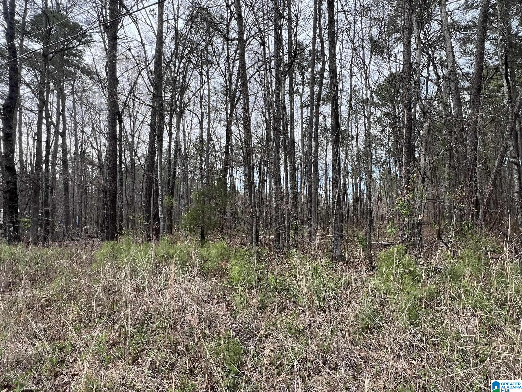 0 Whitney Road, Unit 619B Ashville, AL 35953 - Photo 3 of 7