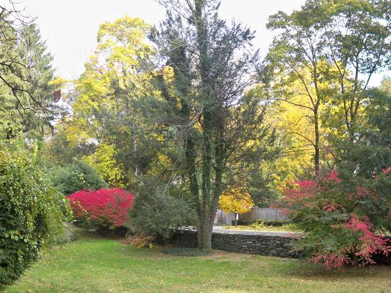 235 North Maple Avenue Greenwich, CT 06830 - Photo 11 of 19 a view of a yard in front of the house