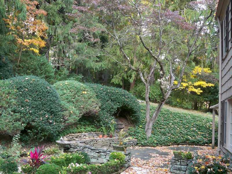 235 North Maple Avenue Greenwich, CT 06830 - Photo 12 of 19 a view of a garden with plants and large trees