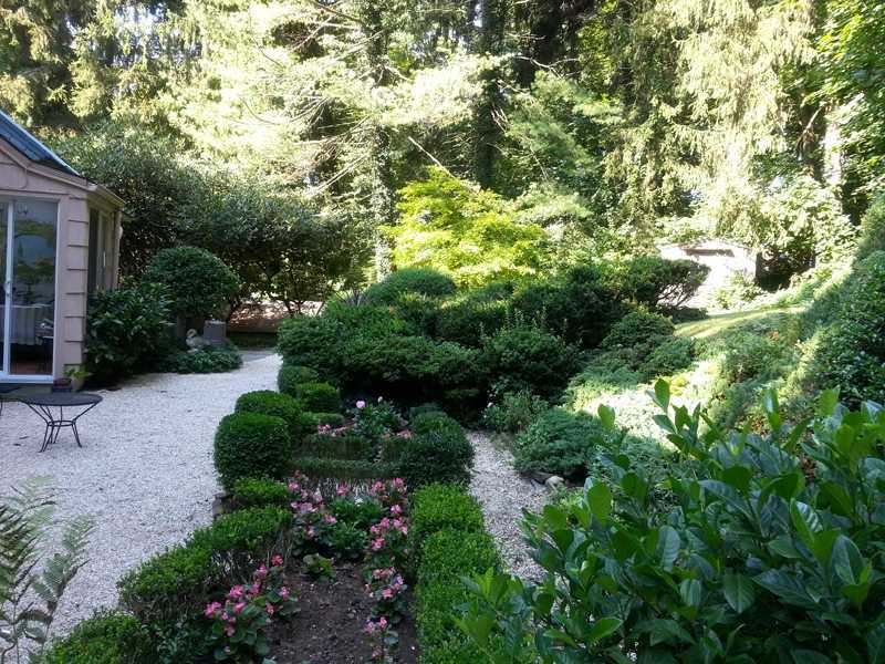 235 North Maple Avenue Greenwich, CT 06830 - Photo 8 of 19 a view of a garden with plants and large trees