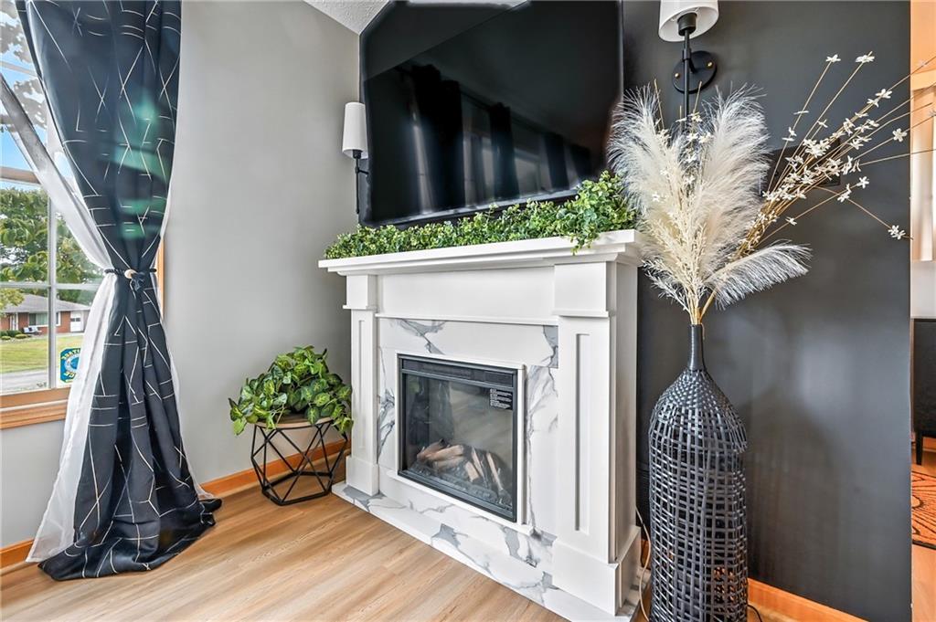 723 Rollinson Road Hermitage, PA 16148 - Photo 9 of 38 a potted plant sitting in front of a house