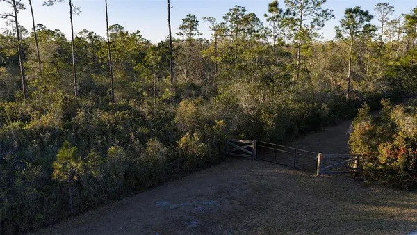 a view of outdoor space and yard