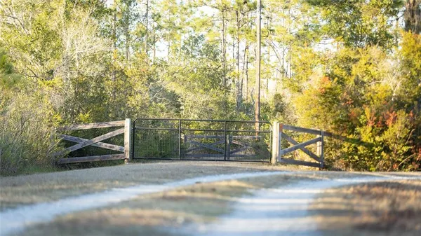 a view of a wooden fence and a large tree