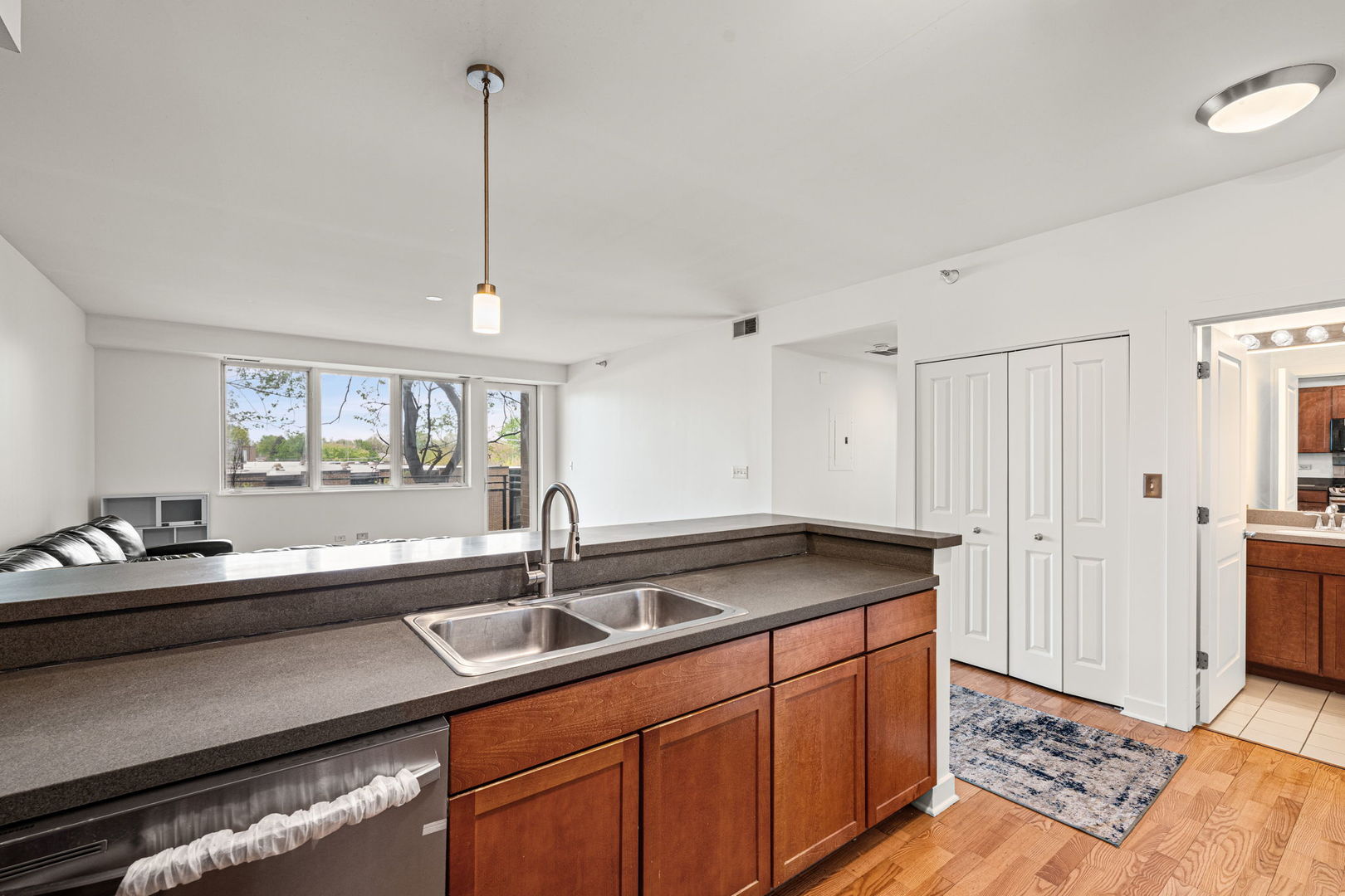 1905 South Wolf Road, Unit 209 Hillside, IL 60162 - Photo 4 of 16