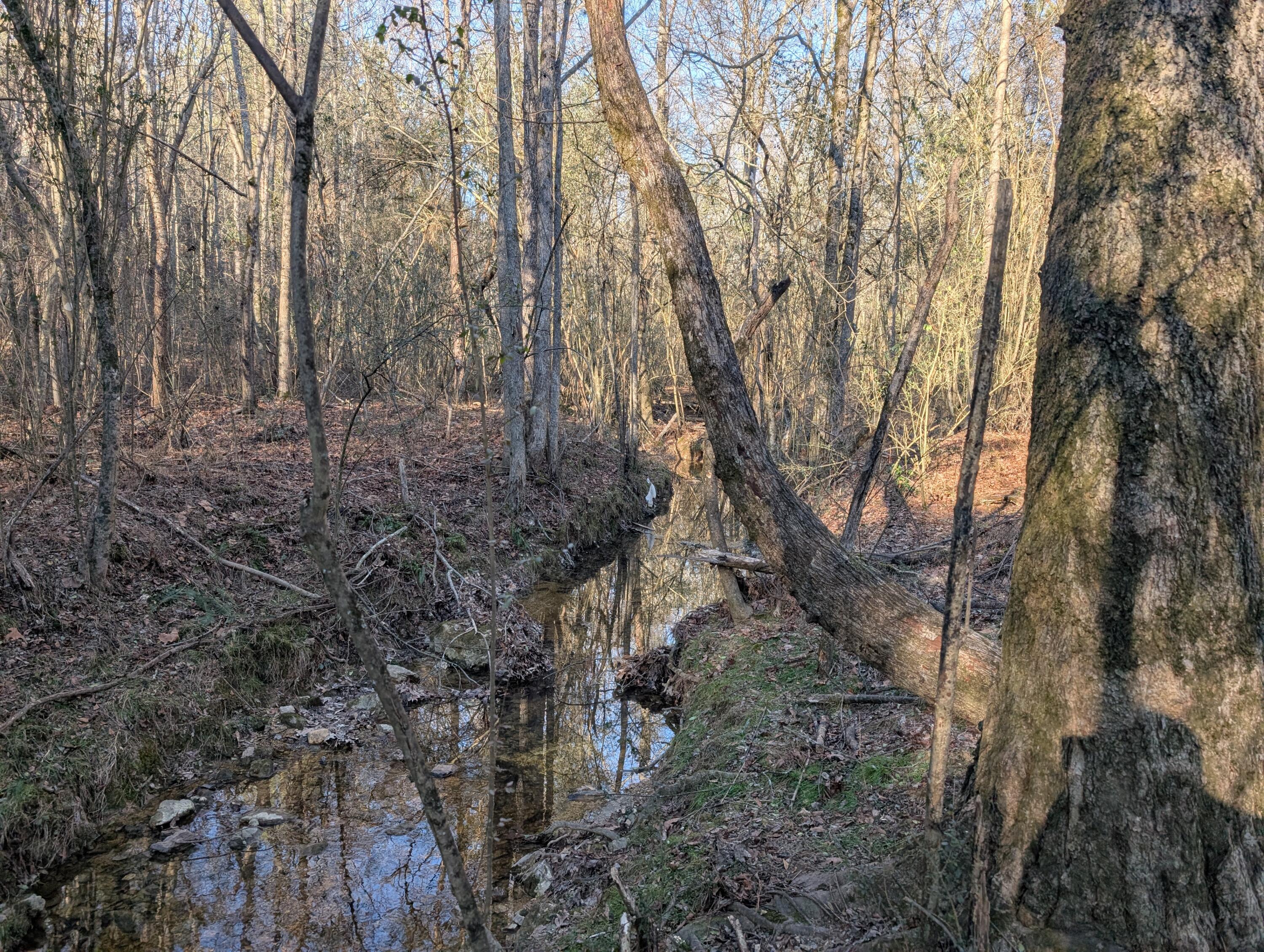 0 Ridgeway Road LaFayette, GA 30728 - Photo 14 of 19 Trion 14