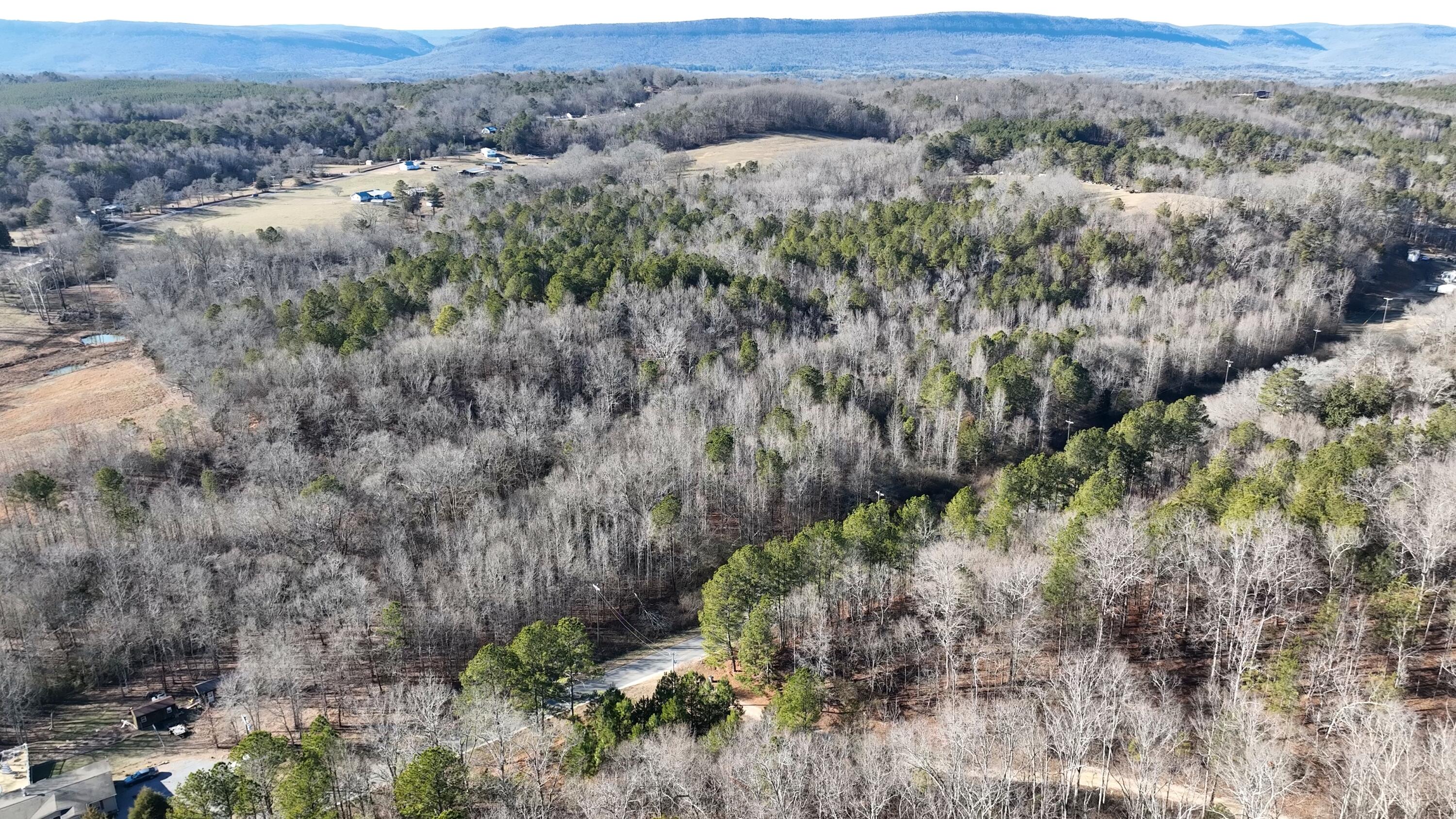 0 Ridgeway Road LaFayette, GA 30728 - Photo 15 of 19 Trion 15