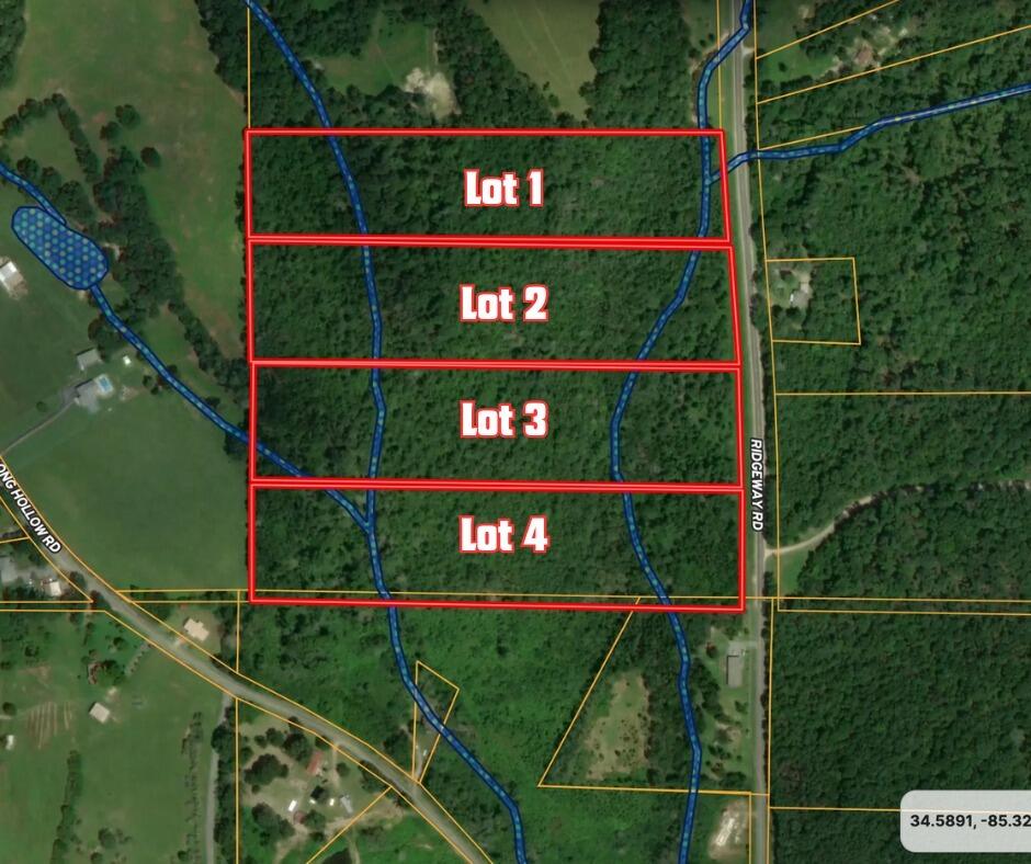 0 Ridgeway Road LaFayette, GA 30728 - Photo 16 of 19 trion 16