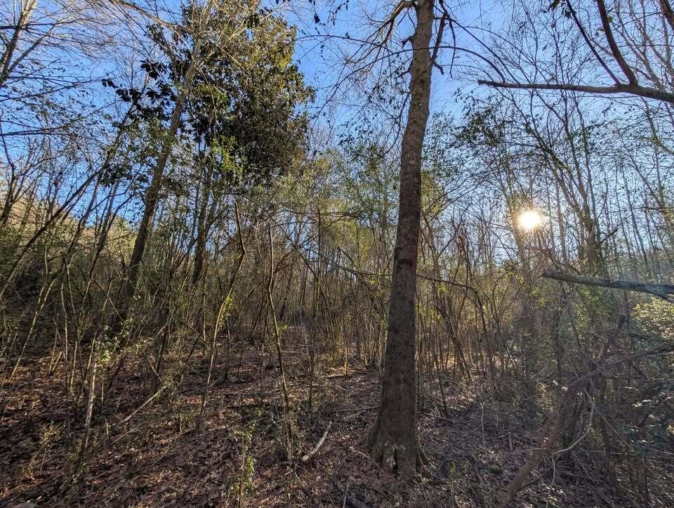 0 Ridgeway Road LaFayette, GA 30728 - Photo 4 of 19 trion 4