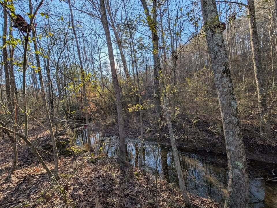 0 Ridgeway Road LaFayette, GA 30728 - Photo 5 of 19 trion 5