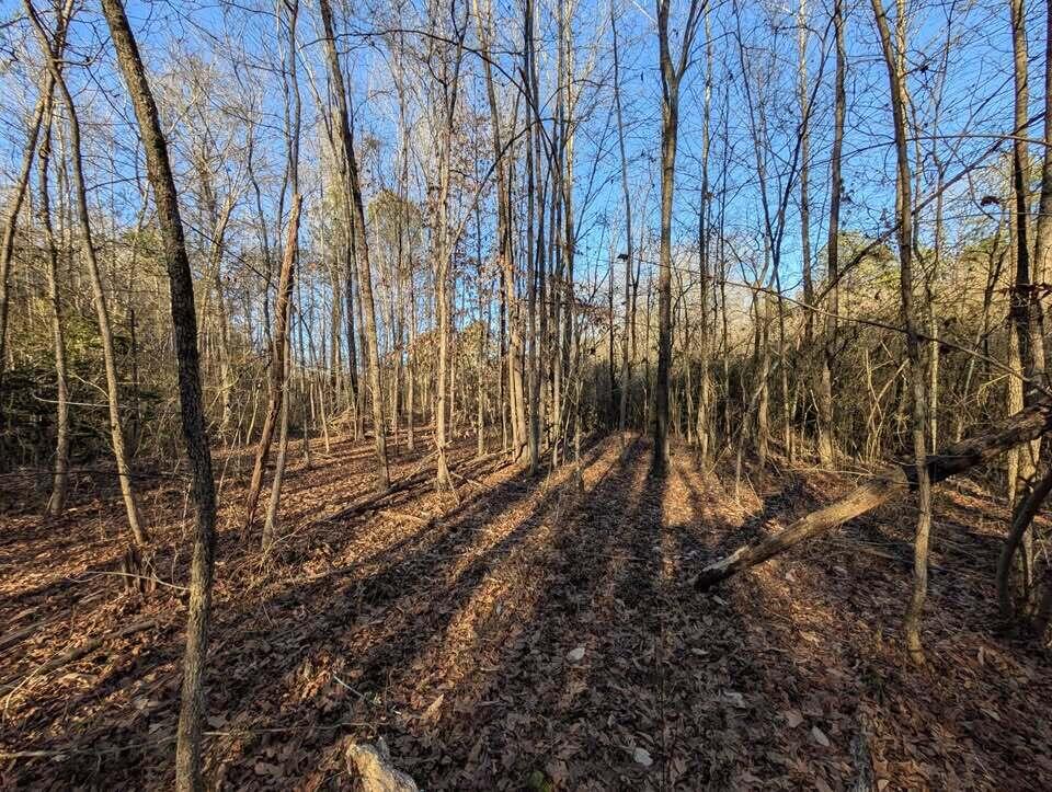 0 Ridgeway Road LaFayette, GA 30728 - Photo 6 of 19 trion 6