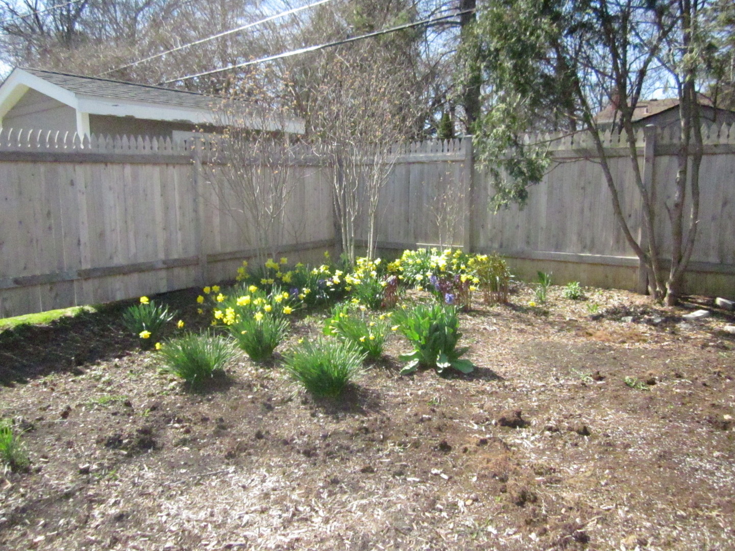 26W564 Jewell Road Winfield, IL 60190 - Photo 33 of 40
