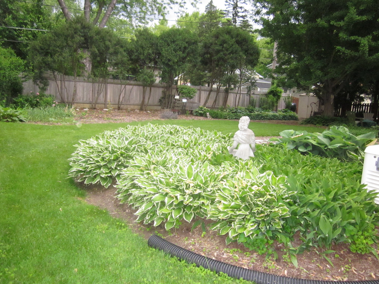 26W564 Jewell Road Winfield, IL 60190 - Photo 35 of 40 a view of a yard with plants and large trees