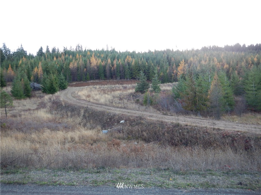 3 Stone Ridge Drive Cle Elum, WA 98922 - Photo 15 of 17 Gallery Image 15