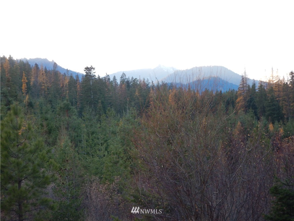 3 Stone Ridge Drive Cle Elum, WA 98922 - Photo 16 of 17 Gallery Image 16