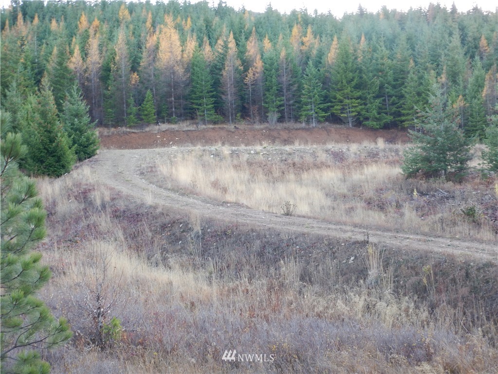 3 Stone Ridge Drive Cle Elum, WA 98922 - Photo 17 of 17 Gallery Image 17