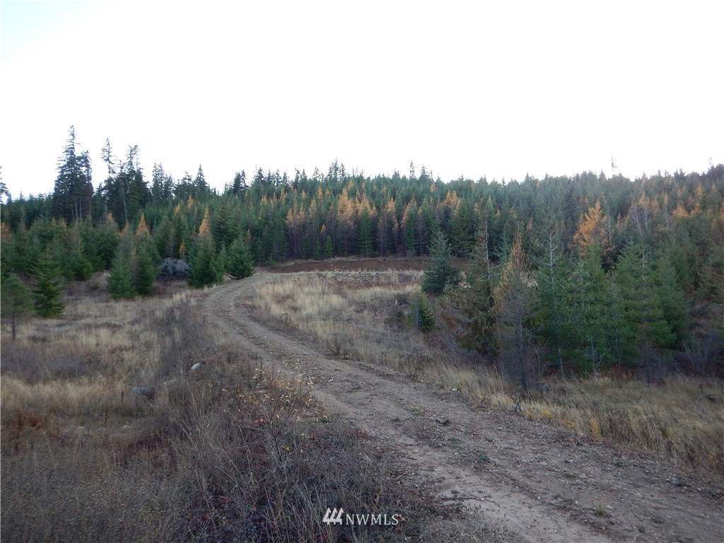 3 Stone Ridge Drive Cle Elum, WA 98922 - Photo 3 of 17 Gallery Image 3