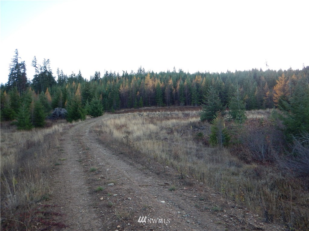 3 Stone Ridge Drive Cle Elum, WA 98922 - Photo 4 of 17 Gallery Image 4