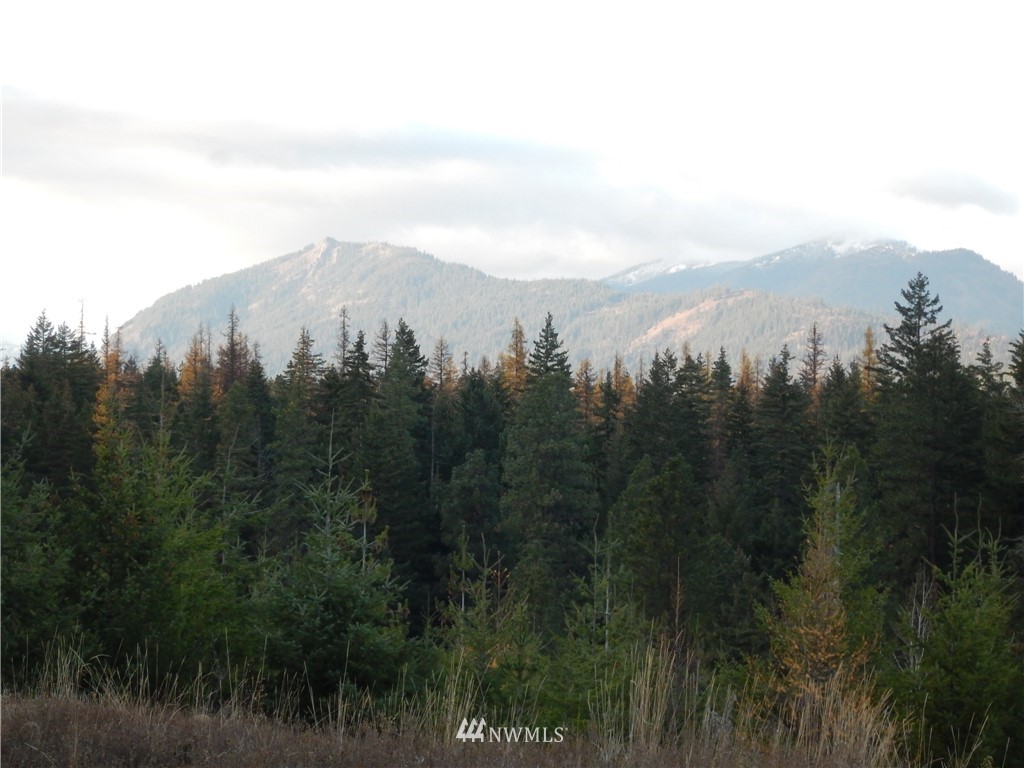 3 Stone Ridge Drive Cle Elum, WA 98922 - Photo 7 of 17 Gallery Image 7