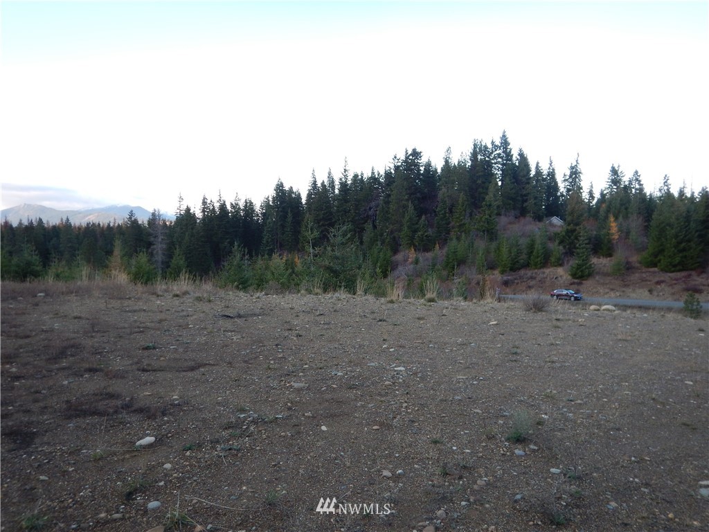 3 Stone Ridge Drive Cle Elum, WA 98922 - Photo 8 of 17 Gallery Image 8