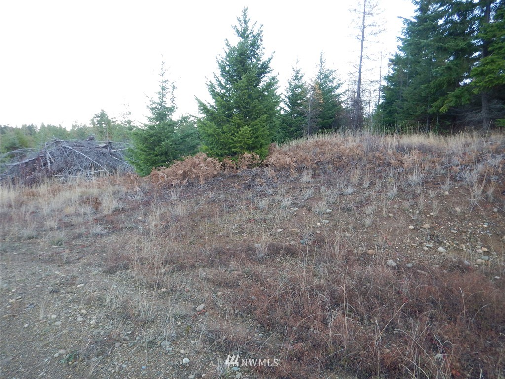 3 Stone Ridge Drive Cle Elum, WA 98922 - Photo 10 of 17 Gallery Image 10