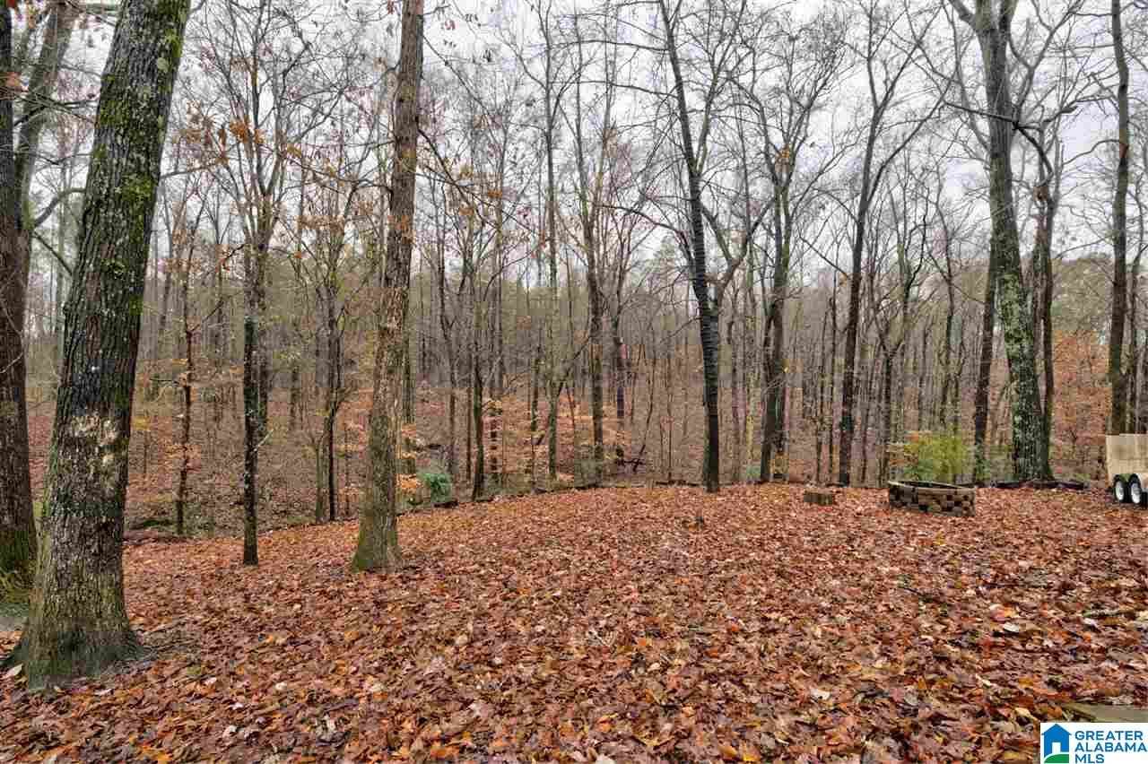 369 Hickory Road Gardendale, AL 35071 - Photo 37 of 41