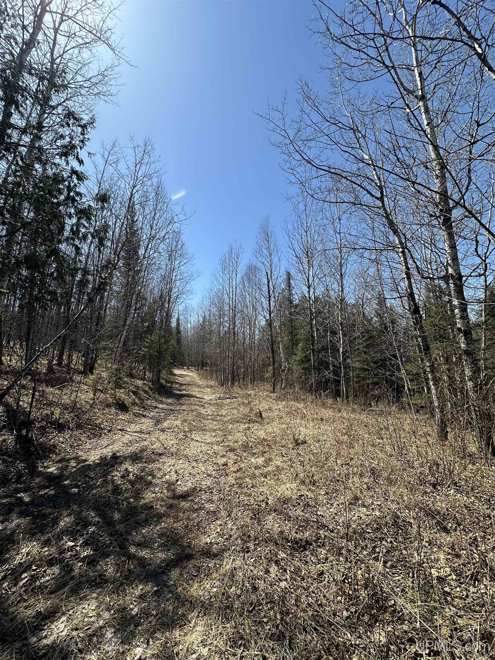 69 Old 69 Road Crystal Falls, MI 49920 - Photo 8 of 21