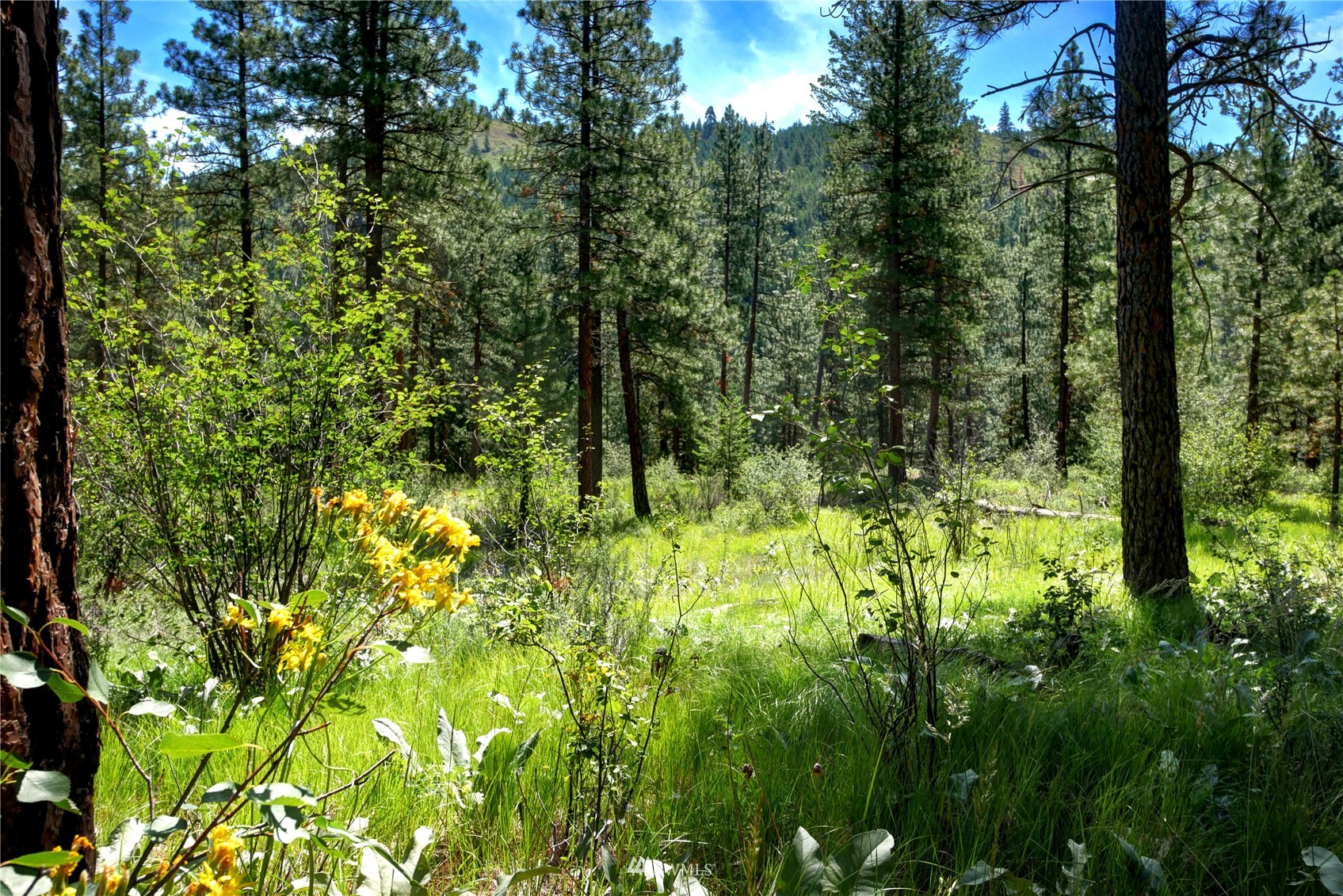 21 Poorman Creek Cutoff Road Twisp, WA 98856 - Photo 36 of 38 Gallery Image 36