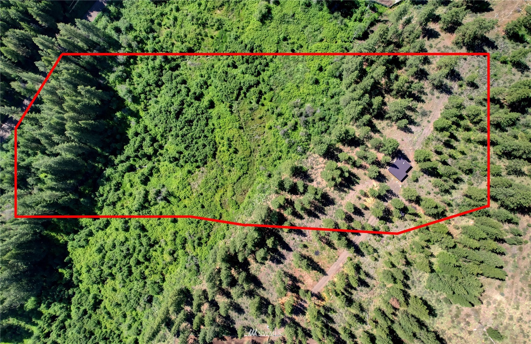 21 Poorman Creek Cutoff Road Twisp, WA 98856 - Photo 8 of 38 Gallery Image 8