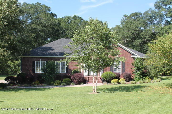 317 Summerville Road Jasper, AL 35504 - Photo 2 of 42 Gallery Image 2