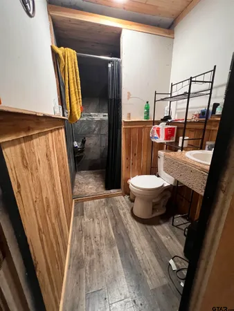 a bathroom with a toilet and a sink
