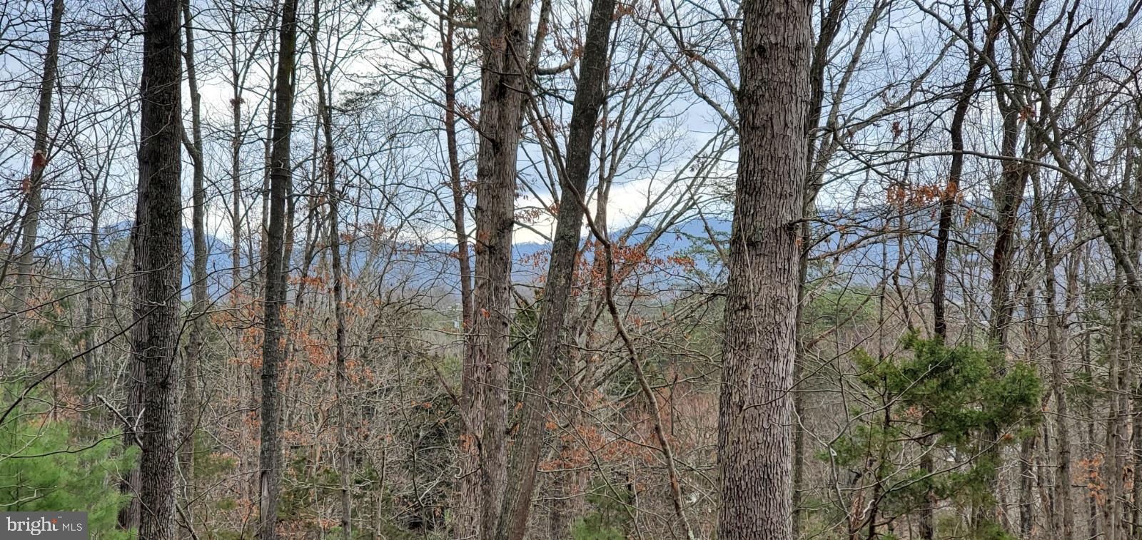 Lot 40 Fort Valley Road Fort Valley, VA 22652 - Photo 4 of 10 Gallery Image 4