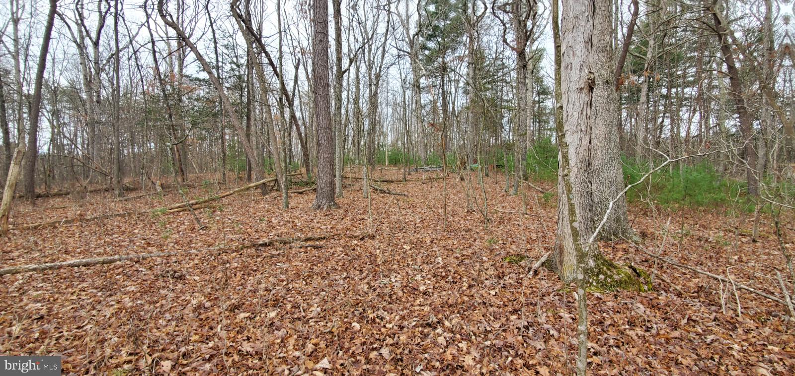 Lot 40 Fort Valley Road Fort Valley, VA 22652 - Photo 5 of 10 Gallery Image 5