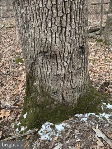 $42,000 | 5924 Highway 75, East Waterford, PA 17021