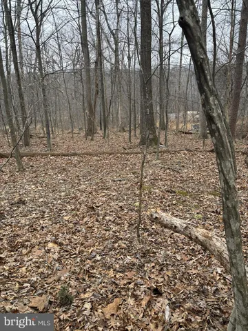 a view of house with trees