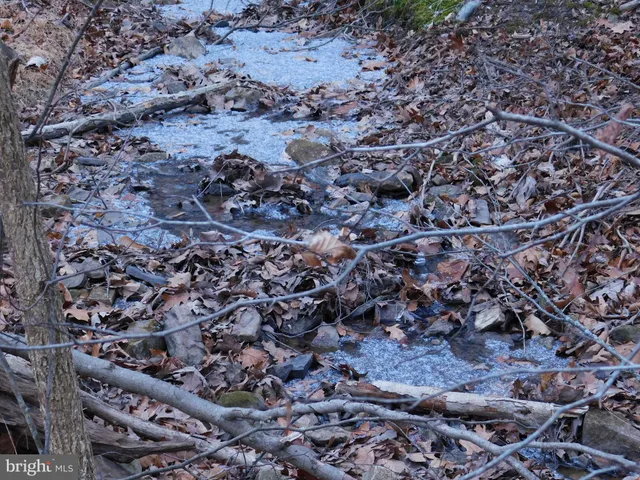 a view of backyard with truck parked