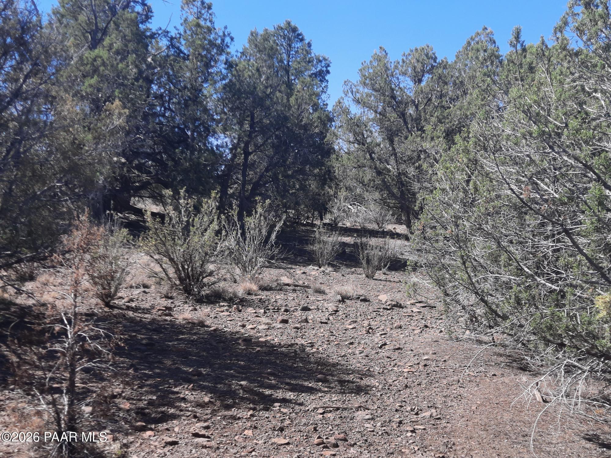Lot 860 Fort Rock Road Kingman, AZ 86401 - Photo 14 of 20 a view of a dry yard with trees and bushes