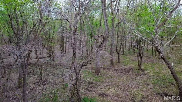 $191,000 | 0 Illinois Rt 100, Kampsville, IL 62053