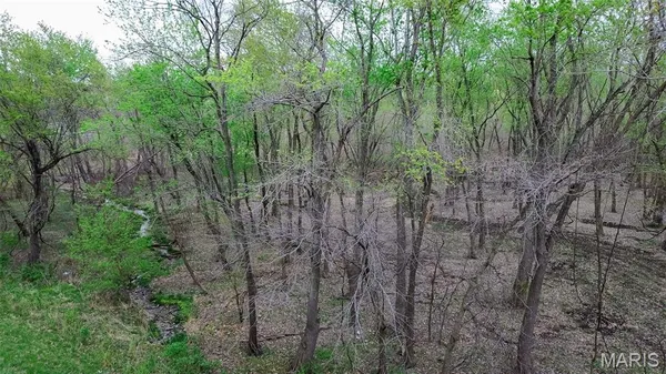 $191,000 | 0 Illinois Rt 100, Kampsville, IL 62053