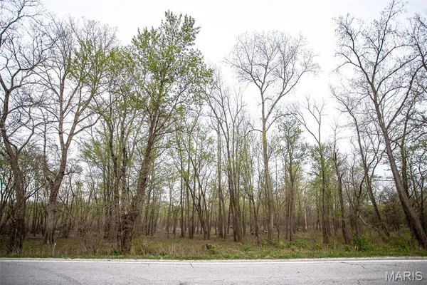 $191,000 | 0 Illinois Rt 100, Kampsville, IL 62053