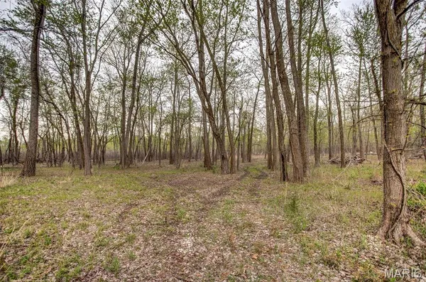 $191,000 | 0 Illinois Rt 100, Kampsville, IL 62053