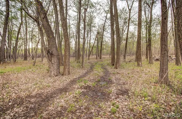 $191,000 | 0 Illinois Rt 100, Kampsville, IL 62053