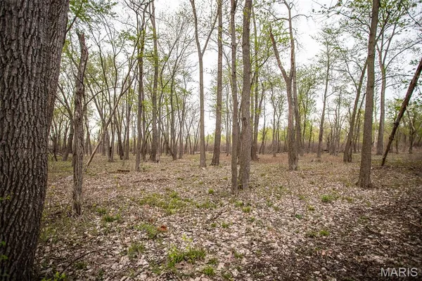 $191,000 | 0 Illinois Rt 100, Kampsville, IL 62053