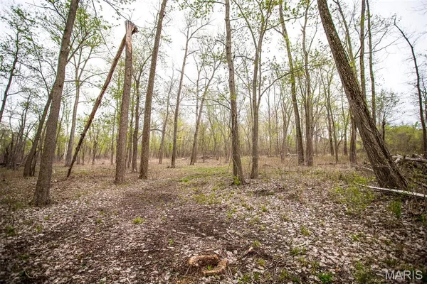 $191,000 | 0 Illinois Rt 100, Kampsville, IL 62053