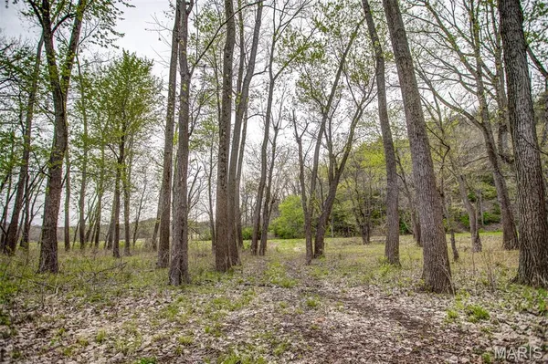 $191,000 | 0 Illinois Rt 100, Kampsville, IL 62053