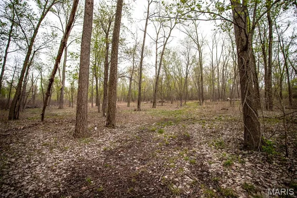 $191,000 | 0 Illinois Rt 100, Kampsville, IL 62053