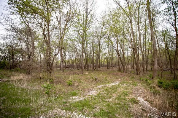 $191,000 | 0 Illinois Rt 100, Kampsville, IL 62053