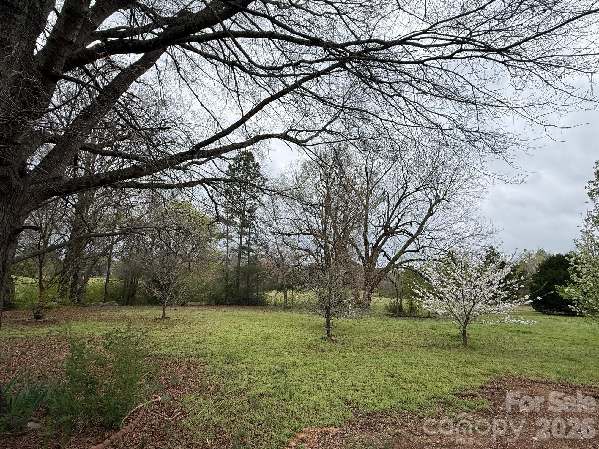 247 Sam Tyson Road Wadesboro, NC 28170 - Photo 4 of 5 a backyard of a house with lots of green space