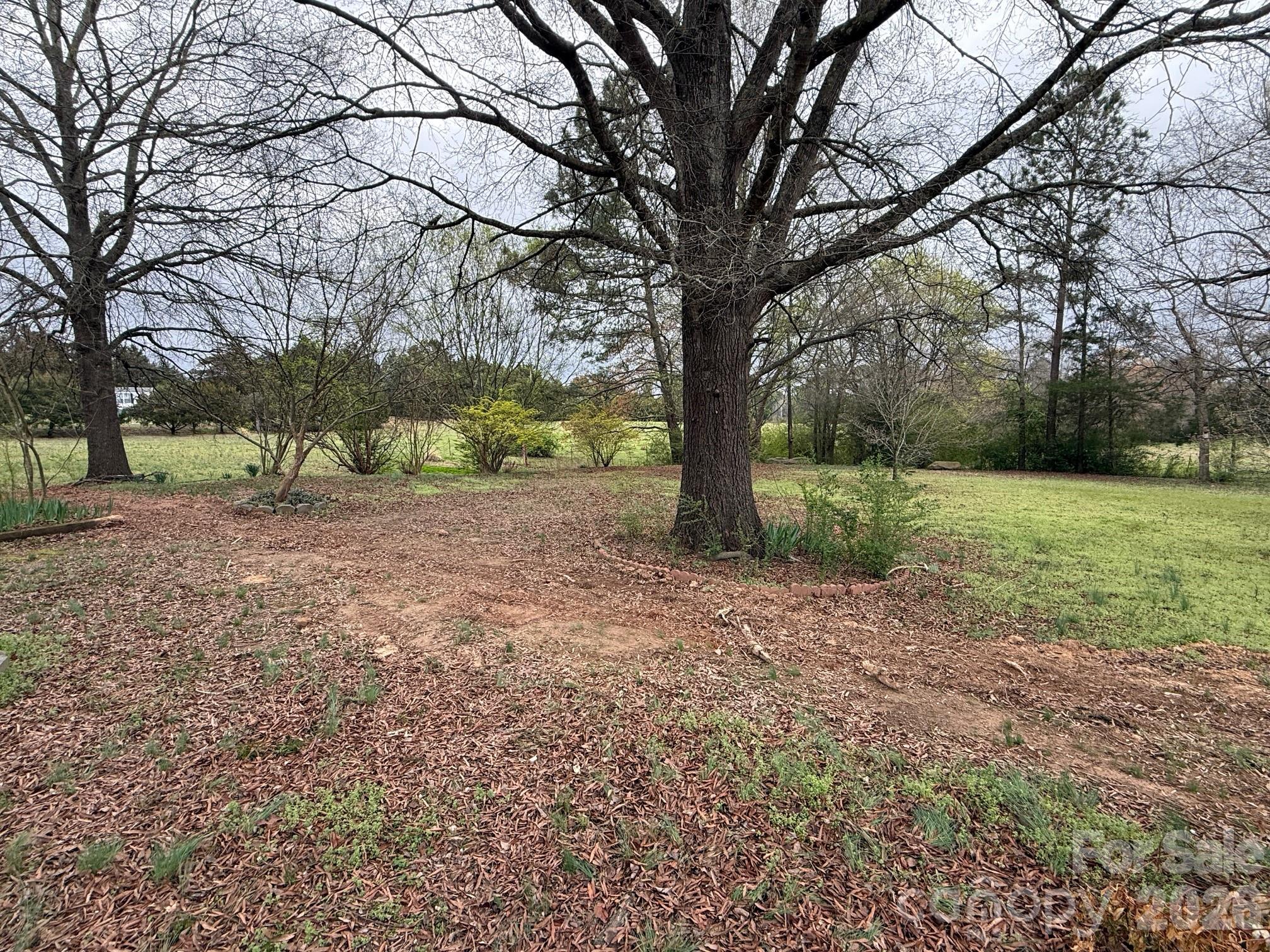 247 Sam Tyson Road Wadesboro, NC 28170 - Photo 5 of 5 a view of a tree in a yard